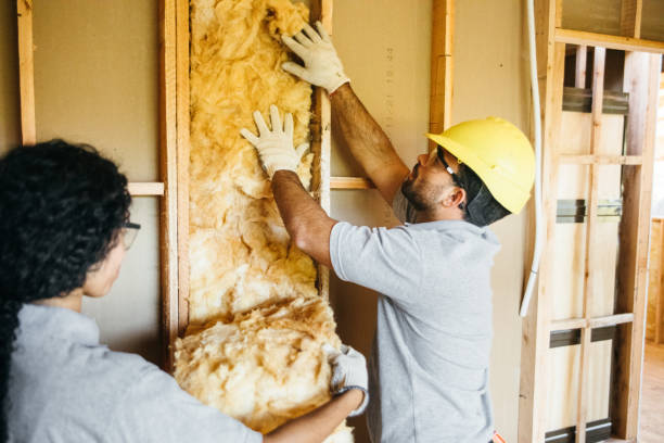 Best Garage Insulation  in Cleveland, OH